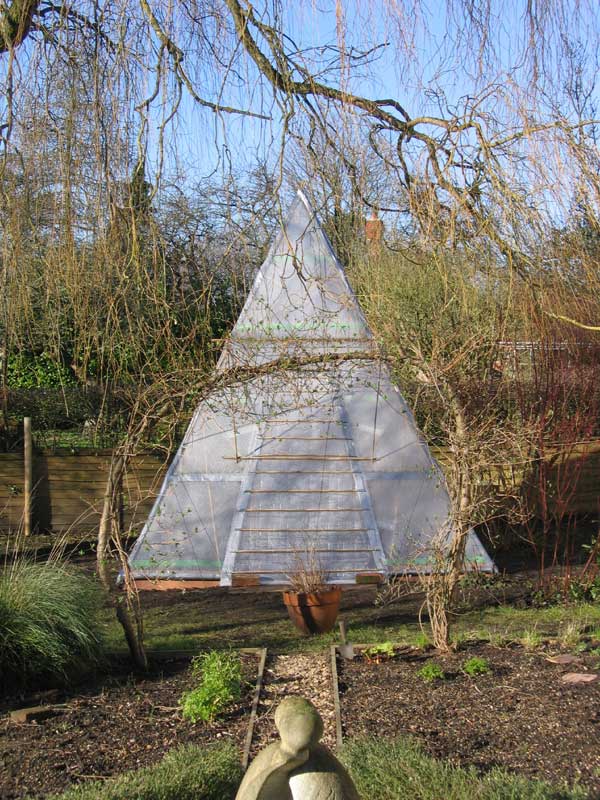 greenhouse made from a bamboo structure